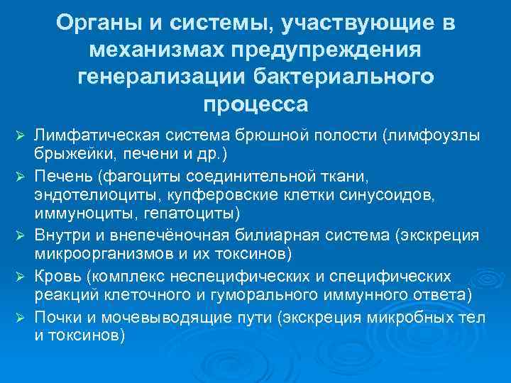 Органы и системы, участвующие в механизмах предупреждения генерализации бактериального процесса Ø Ø Ø Лимфатическая