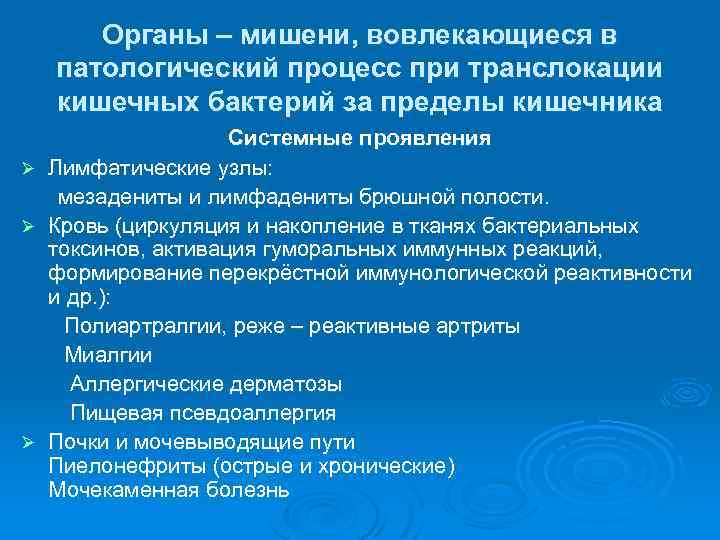 Органы – мишени, вовлекающиеся в патологический процесс при транслокации кишечных бактерий за пределы кишечника