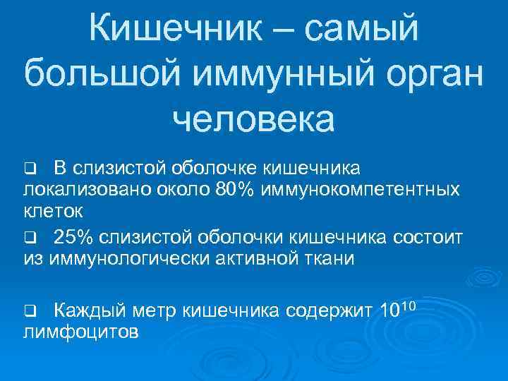 Кишечник – самый большой иммунный орган человека В слизистой оболочке кишечника локализовано около 80%