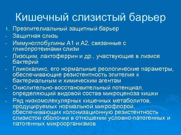 Кишечный слизистый барьер 1. - - Преэпителиальный защитный барьер Защитная слизь Иммуноглобулины А 1