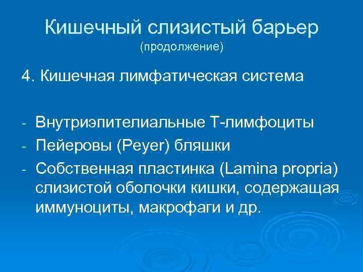 Кишечный слизистый барьер (продолжение) 4. Кишечная лимфатическая система Внутриэпителиальные Т-лимфоциты - Пейеровы (Peyer) бляшки