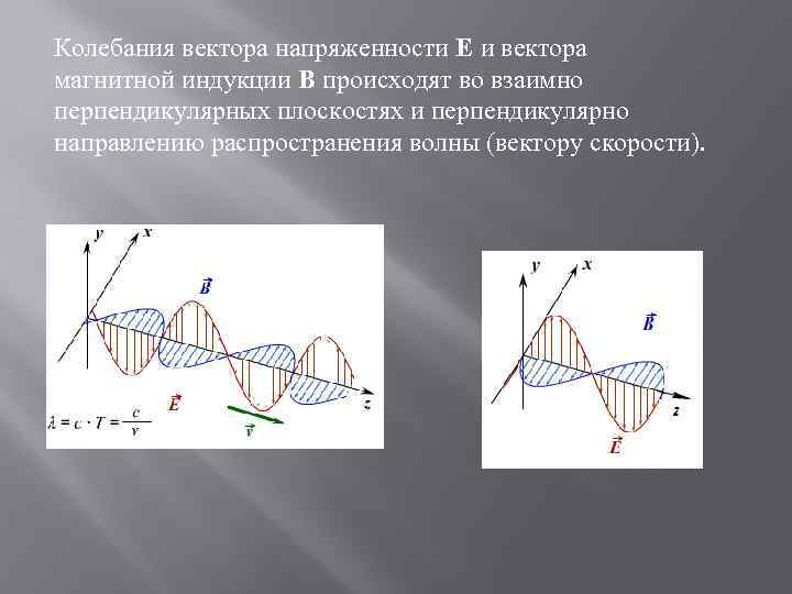 Колебания вектора напряженности E и вектора магнитной индукции B происходят во взаимно перпендикулярных плоскостях