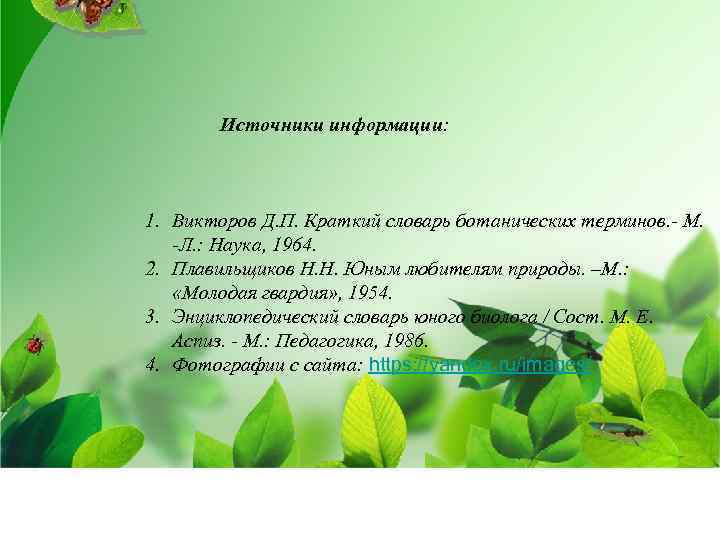  Источники информации: 1. Викторов Д. П. Краткий словарь ботанических терминов. - М. -Л.