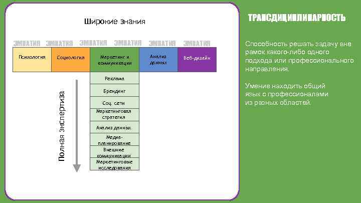 ТРАНСДИЦИПЛИНАРНОСТЬ Широкие знания ЭМПАТИЯ Социология Маркетинг и коммуникации ЭМПАТИЯ Анализ данных Веб-дизайн Способность решать