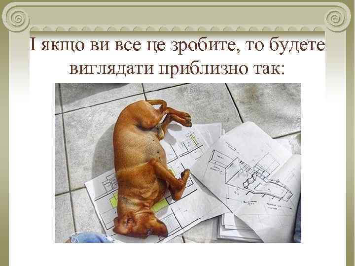 І якщо ви все це зробите, то будете виглядати приблизно так: 