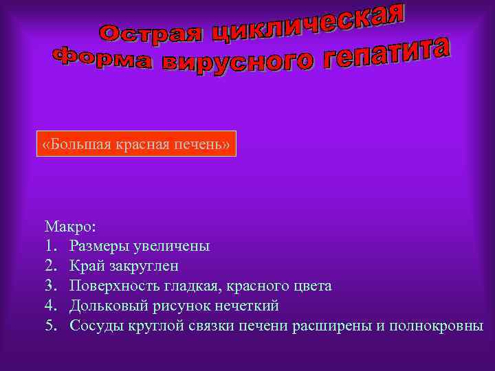  «Большая красная печень» Макро: 1. Размеры увеличены 2. Край закруглен 3. Поверхность гладкая,