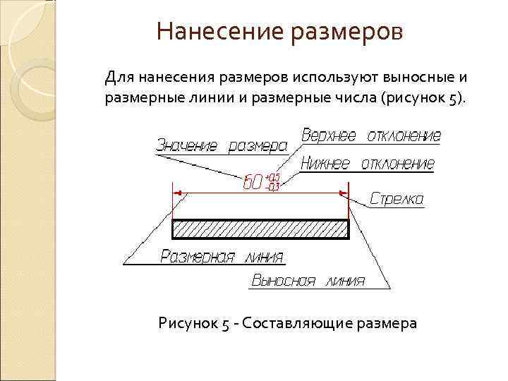 Нанесение размеров Для нанесения размеров используют выносные и размерные линии и размерные числа (рисунок