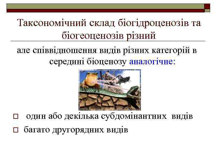 Таксономічний склад біогідроценозів та біогеоценозів різний але співвідношення видів різних категорій в середині біоценозу