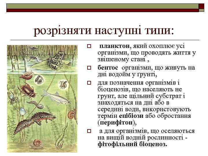 розрізняти наступні типи: o o планктон, який охоплює усі організми, що проводять життя у