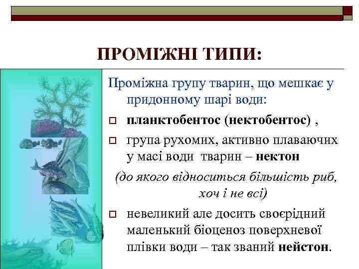 ПРОМІЖНІ ТИПИ: Проміжна групу тварин, що мешкає у придонному шарі води: o планктобентос (нектобентос)