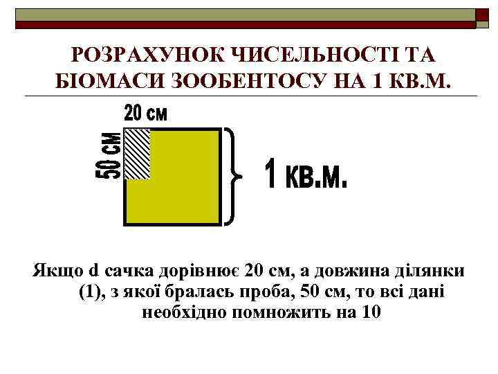 РОЗРАХУНОК ЧИСЕЛЬНОСТІ ТА БІОМАСИ ЗООБЕНТОСУ НА 1 КВ. М. Якщо d сачка дорівнює 20