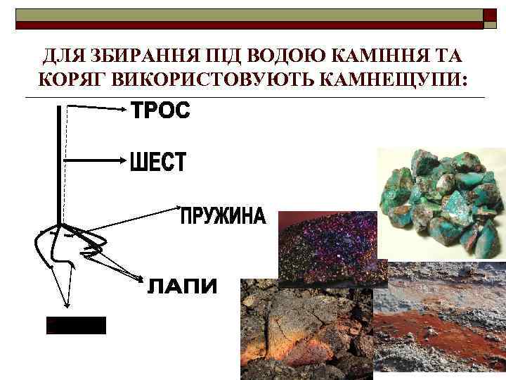 ДЛЯ ЗБИРАННЯ ПІД ВОДОЮ КАМІННЯ ТА КОРЯГ ВИКОРИСТОВУЮТЬ КАМНЕЩУПИ: 