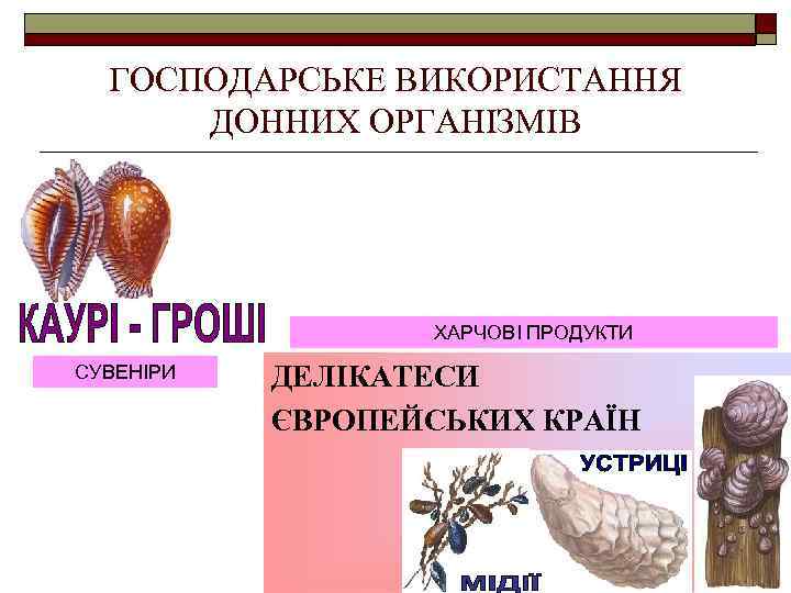 ГОСПОДАРСЬКЕ ВИКОРИСТАННЯ ДОННИХ ОРГАНІЗМІВ ХАРЧОВІ ПРОДУКТИ СУВЕНІРИ ДЕЛІКАТЕСИ ЄВРОПЕЙСЬКИХ КРАЇН 