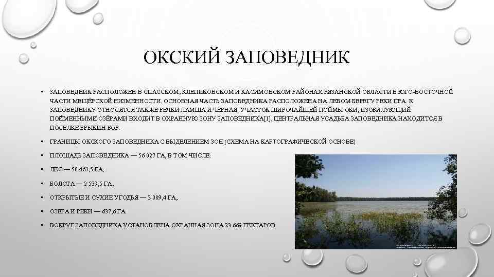 ОКСКИЙ ЗАПОВЕДНИК • ЗАПОВЕДНИК РАСПОЛОЖЕН В СПАССКОМ, КЛЕПИКОВСКОМ И КАСИМОВСКОМ РАЙОНАХ РЯЗАНСКОЙ ОБЛАСТИ В