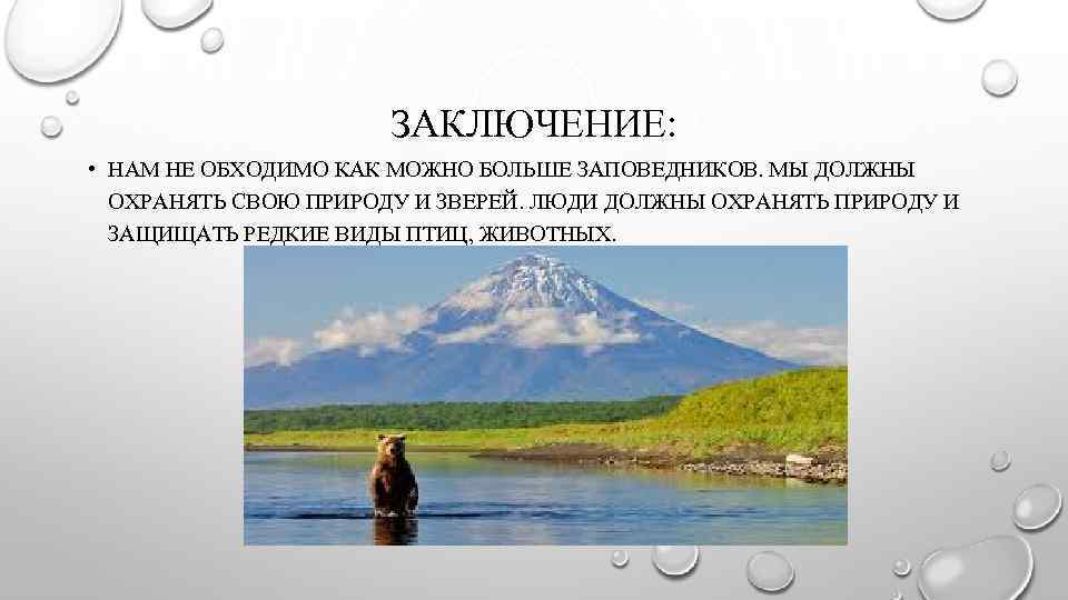 Особенности заповедника. Заключение заповедники России. Вывод про заповедники. Заключение про заповедники. Заключение по заповедникам России.