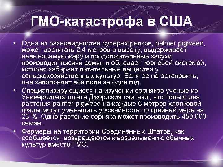 ГМО-катастрофа в США • Одна из разновидностей супер-сорняков, palmer pigweed, может достигать 2, 4