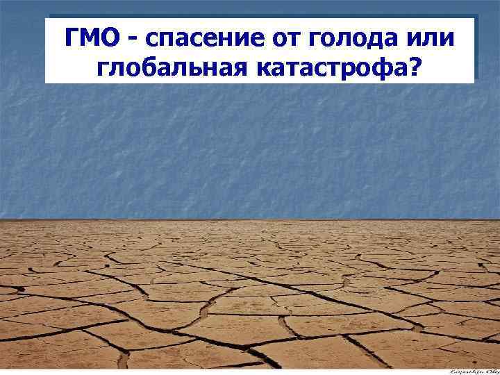 ГМО - спасение от голода или глобальная катастрофа? 