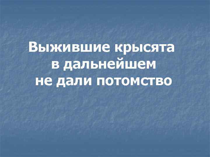 Выжившие крысята в дальнейшем не дали потомство 