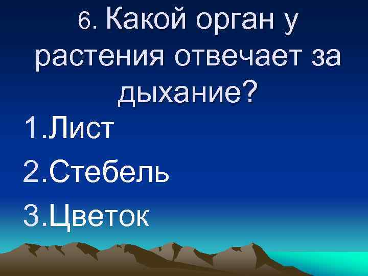 6. Какой орган у растения отвечает за дыхание? 1. Лист 2. Стебель 3. Цветок