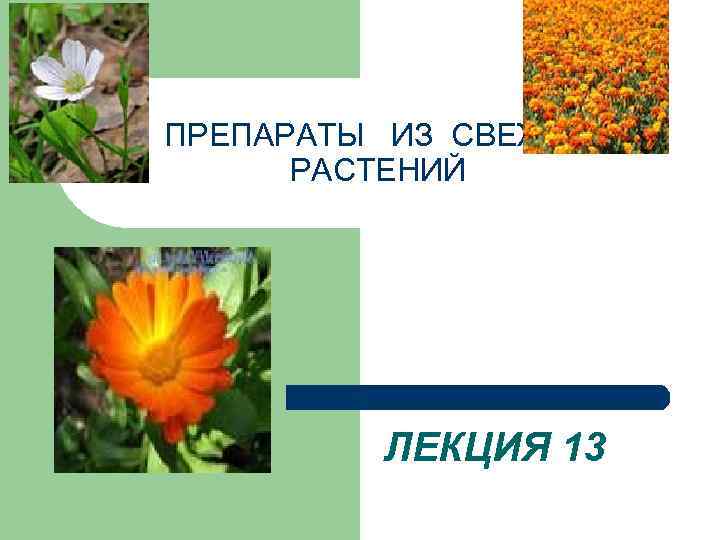 ПРЕПАРАТЫ ИЗ СВЕЖИХ РАСТЕНИЙ ЛЕКЦИЯ 13 