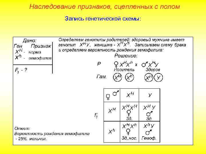 Наследование признаков, сцепленных с полом Запись генетической схемы: 