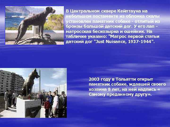 В Центральном сквере Кейптауна на небольшом постаменте из обломка скалы установлен памятник собаке -