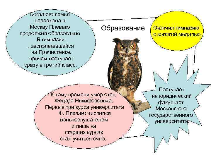 Когда его семья переехала в Москву Плевако продолжил образование В гимназии , располагавшейся на