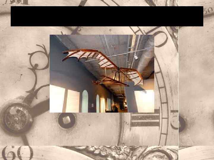 Орнитоптер 