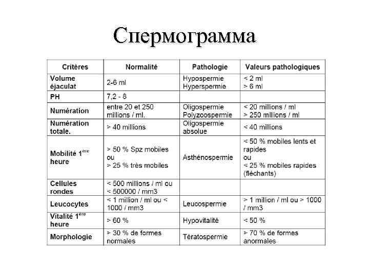 Спермограмма 