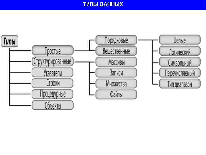 ТИПЫ ДАННЫХ 