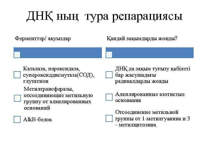 ДНҚ ның тура репарациясы Ферменттер/ ақуыздар Каталаза, пероксидаза, супероксиддисмутаза(СОД), глутатион Метилтрансферазы, отсоединяющие метильную группу