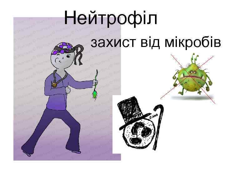 Нейтрофіл захист від мікробів 