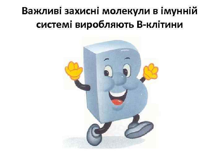 Важливі захисні молекули в імунній системі виробляють В-клітини 