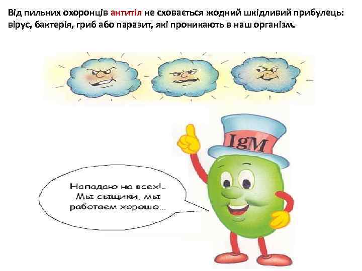 Від пильних охоронців антитіл не сховається жодний шкідливий прибулець: вірус, бактерія, гриб або паразит,