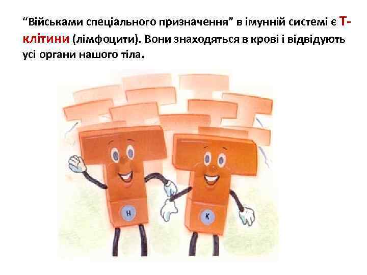 “Військами спеціального призначення” в імунній системі є Тклітини (лімфоцити). Вони знаходяться в крові і