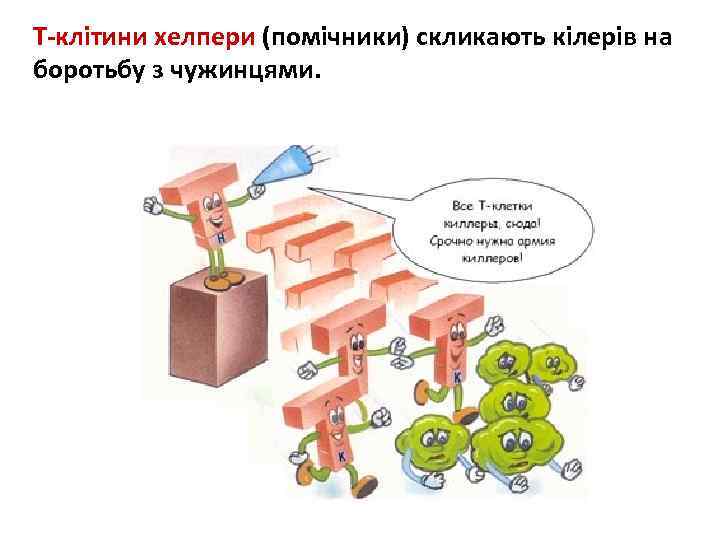 Т-клітини хелпери (помічники) скликають кілерів на боротьбу з чужинцями. 