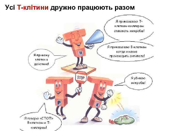 Усі Т-клітини дружно працюють разом 