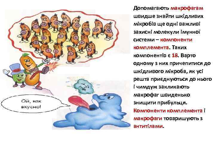 Допомагають макрофагам швидше знайти шкідливих мікробів ще одні важливі захисні молекули імунної системи –