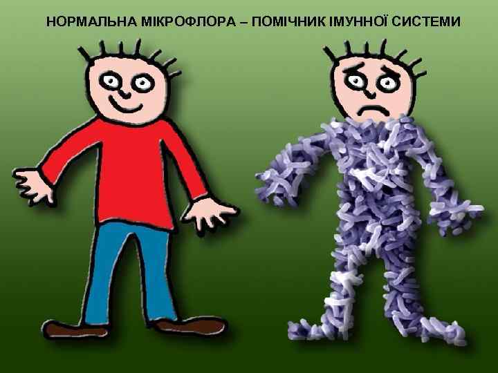 НОРМАЛЬНА МІКРОФЛОРА – ПОМІЧНИК ІМУННОЇ СИСТЕМИ 