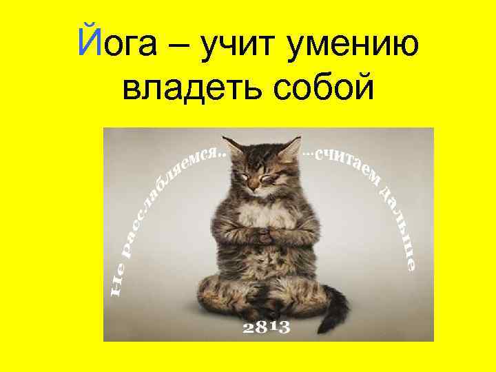 Йога – учит умению владеть собой 