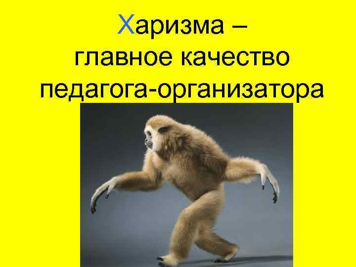 Харизма – главное качество педагога-организатора 