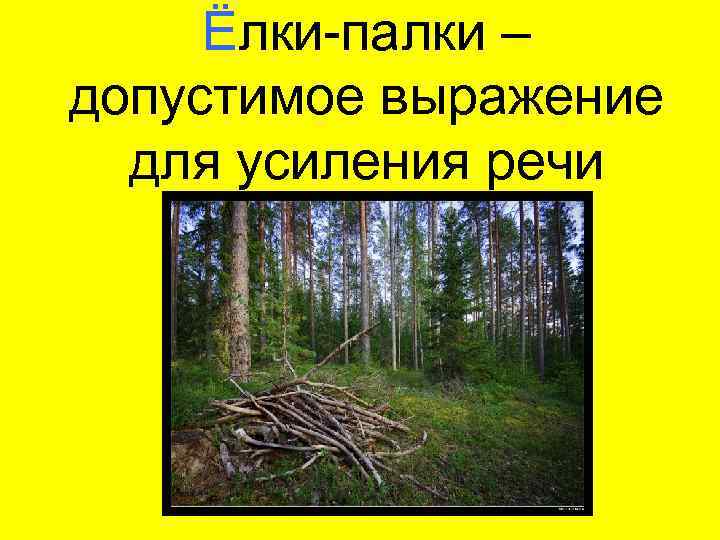 Ёлки-палки – допустимое выражение для усиления речи 