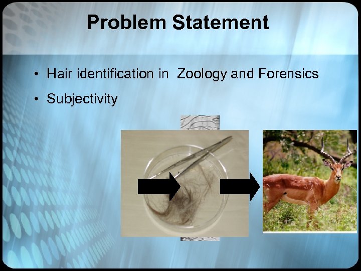 Problem Statement • Hair identification in Zoology and Forensics • Subjectivity 
