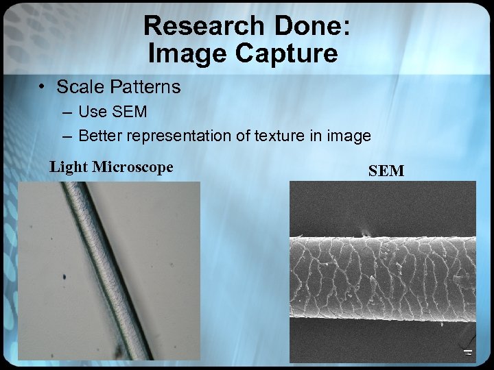 Research Done: Image Capture • Scale Patterns – Use SEM – Better representation of