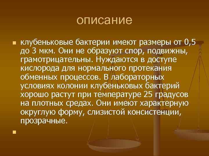 описание n n клубеньковые бактерии имеют размеры от 0, 5 до 3 мкм. Они