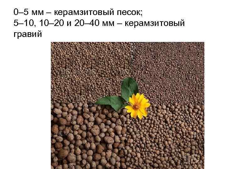 0– 5 мм – керамзитовый песок; 5– 10, 10– 20 и 20– 40 мм