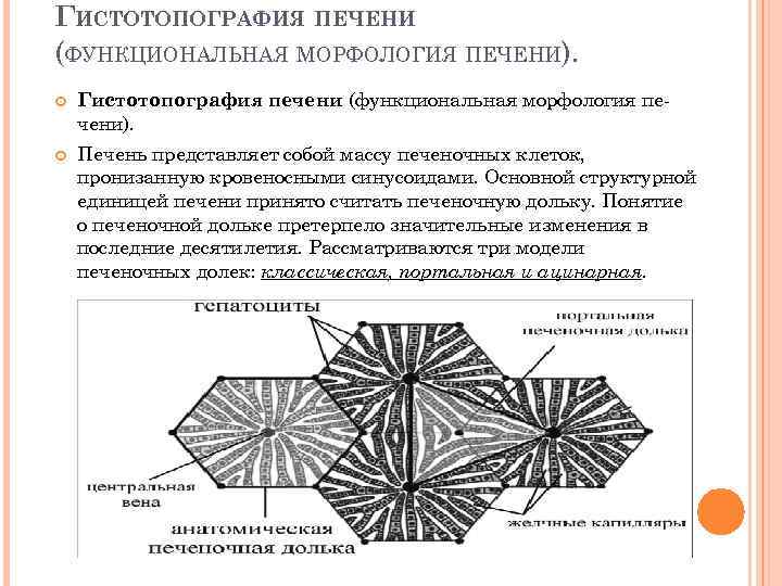 ГИСТОТОПОГРАФИЯ ПЕЧЕНИ (ФУНКЦИОНАЛЬНАЯ МОРФОЛОГИЯ ПЕЧЕНИ). Гистотопография печени (функциональная морфология пе чени). Печень представляет собой