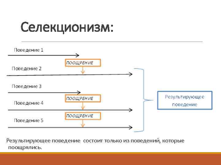 Селекционизм: Результирующее поведение состоит только из поведений, которые поощрялись. 