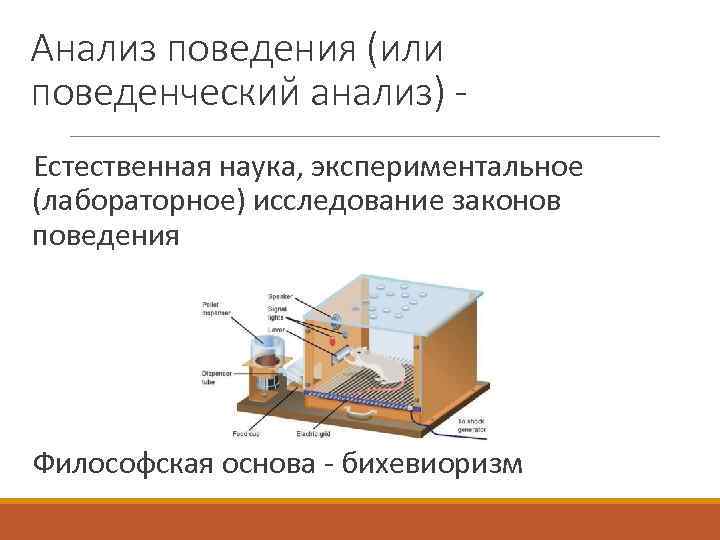 Анализ поведения (или поведенческий анализ) Естественная наука, экспериментальное (лабораторное) исследование законов поведения Философская основа