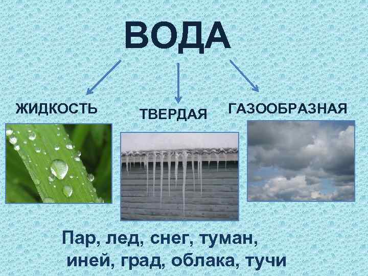 ВОДА ЖИДКОСТЬ ТВЕРДАЯ ГАЗООБРАЗНАЯ Пар, лед, снег, туман, иней, град, облака, тучи 